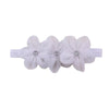 Elegant Baptism & Flower Girl Dresses. This Dress Comes with Free Beautiful Headband .