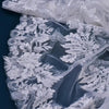 Bridle veil